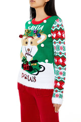Santa Paws Fair Isle Sweater | Forever 21 Womens