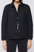 Rae Long Sleeve Snap Button Down Quilted Jacket | Forever 21 Womens